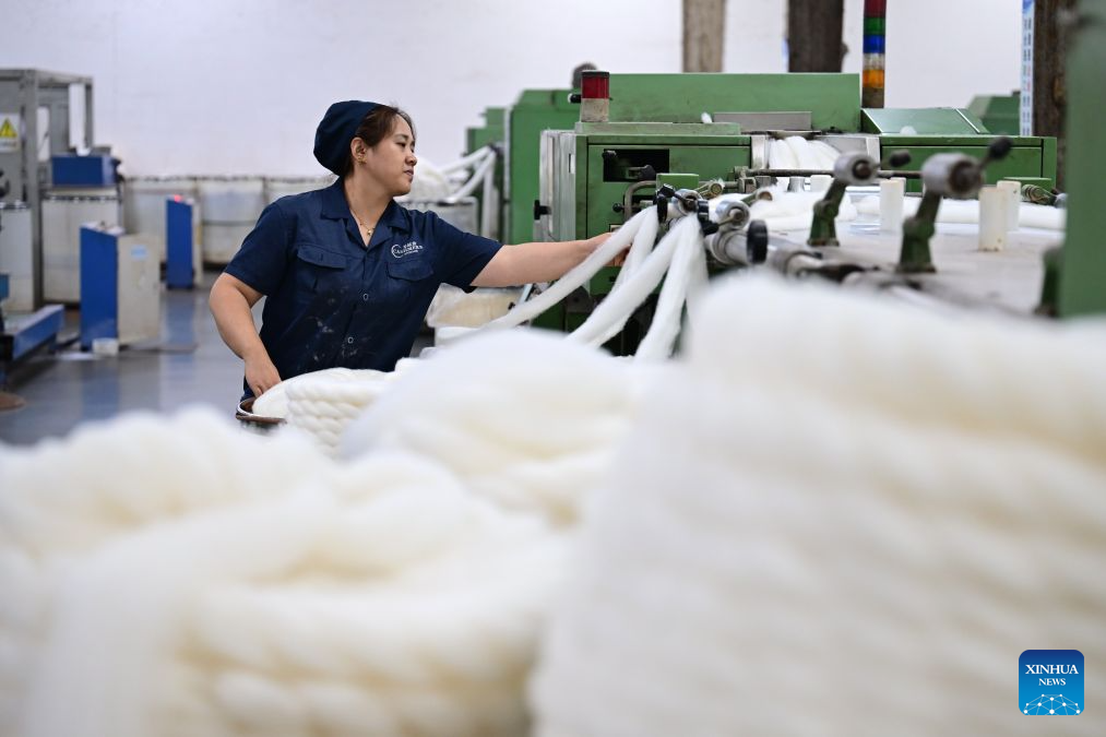 A glimpse of cashmere processing and sales hub in China's Hebei