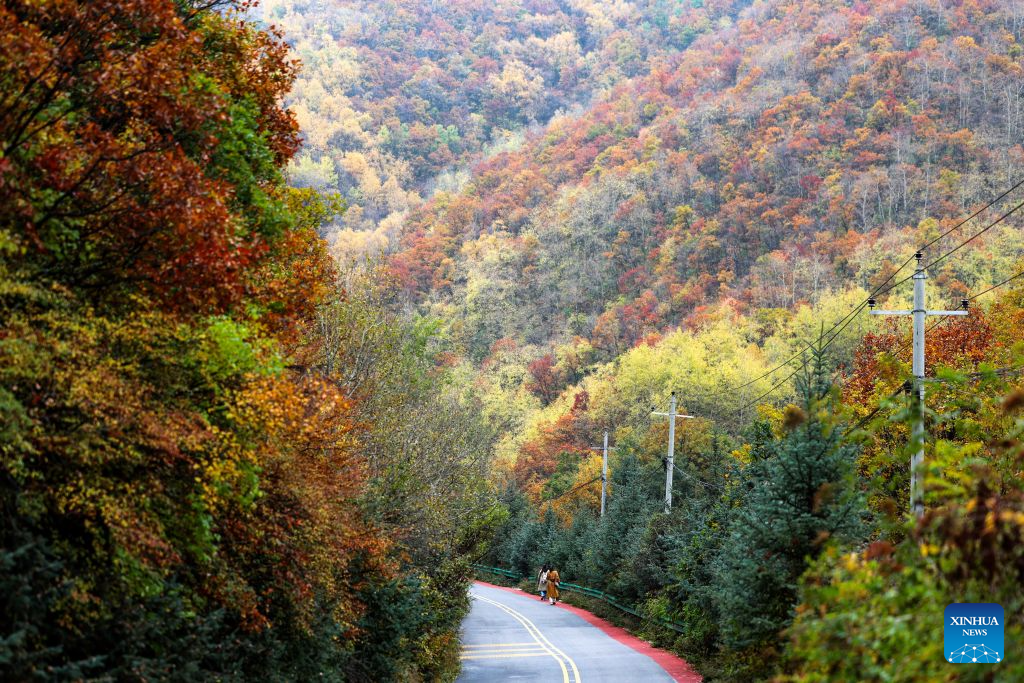 Autumn scenery in NW China's Gansu