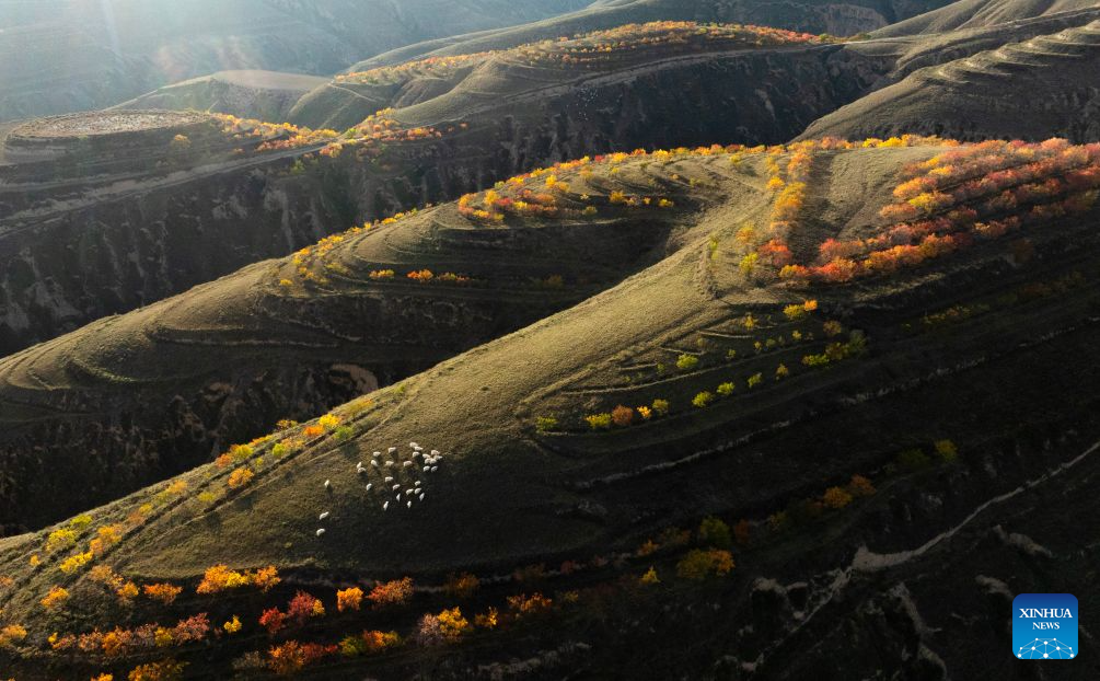 Autumn scenery in NW China's Gansu