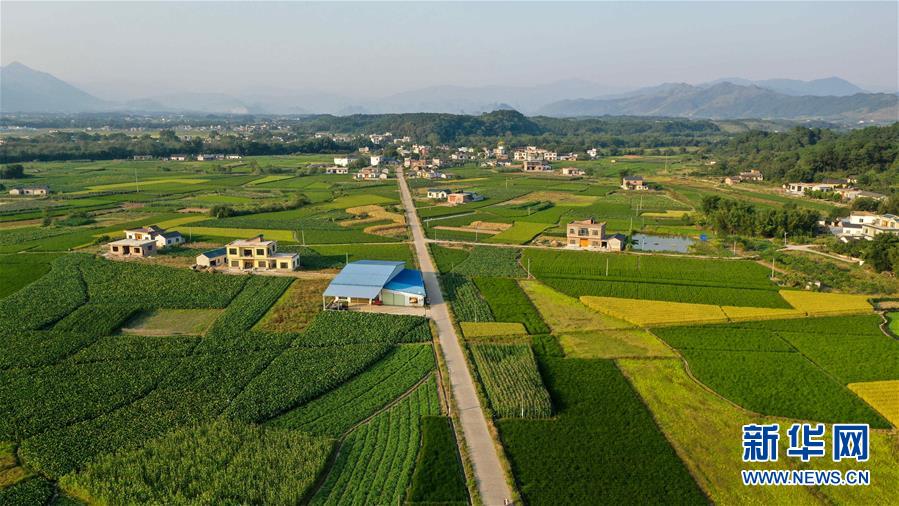 历史的沉思