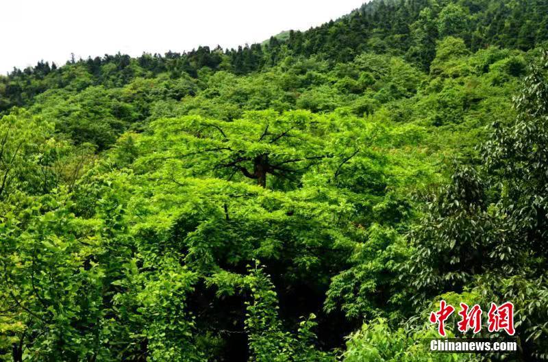 清华美院探索艺术产业人才培养新实践