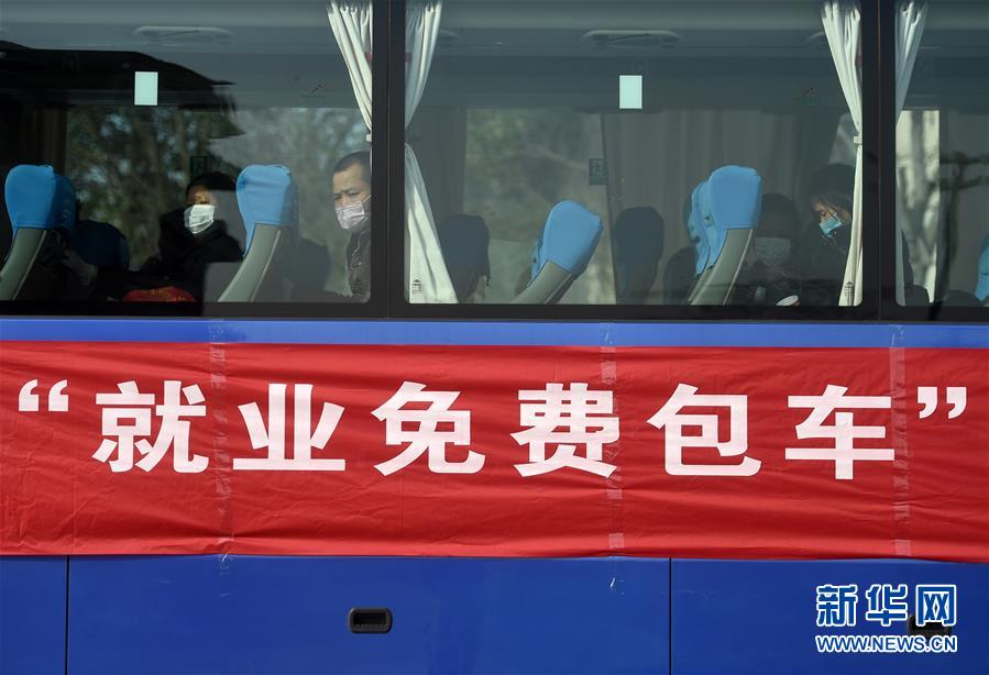 澳大利亚国家多元文化节掠影