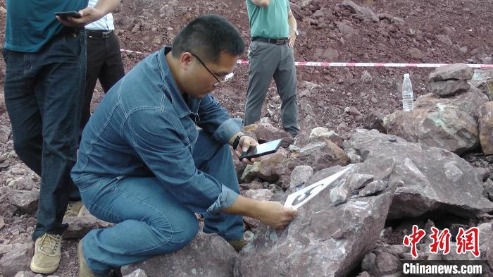 广西东兴发现侏罗纪晚期恐龙化石