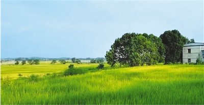 初秋望孔城