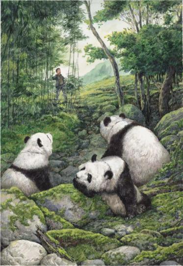著名作家叶广芩长篇儿童文学新作《熊猫小四》 出版方供图