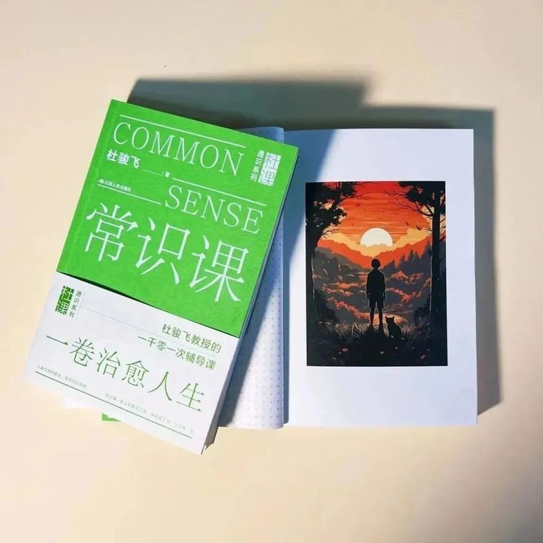 这本书治好了我的精神内耗 这本书治好了我的精神内耗