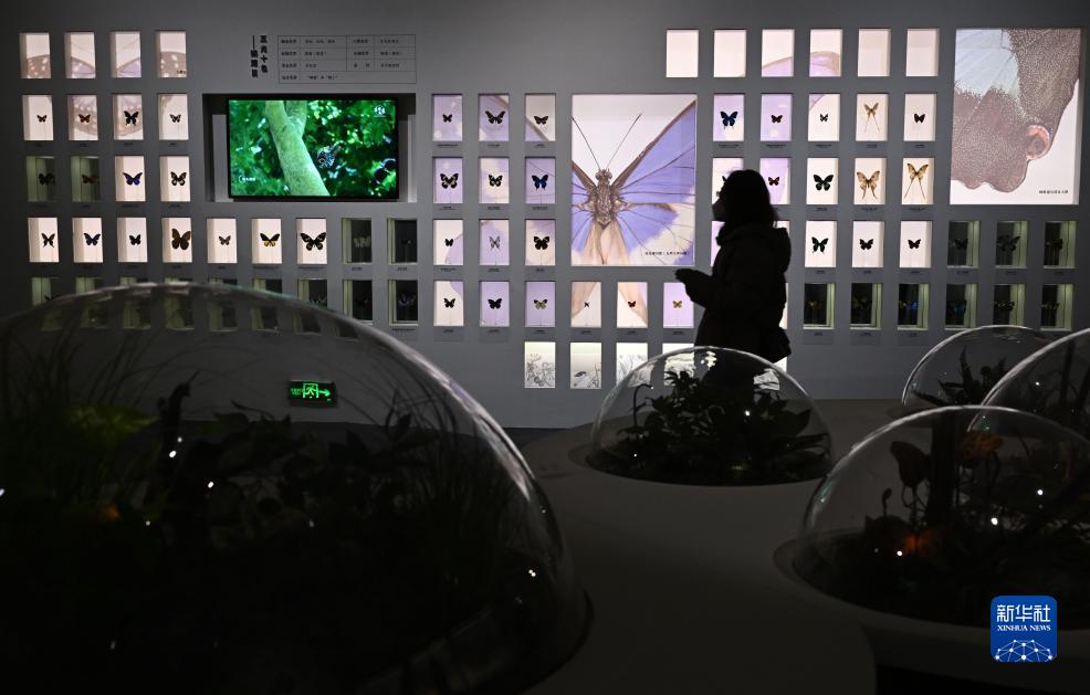 “共同家园——大自然的奇迹”展览在国博举办