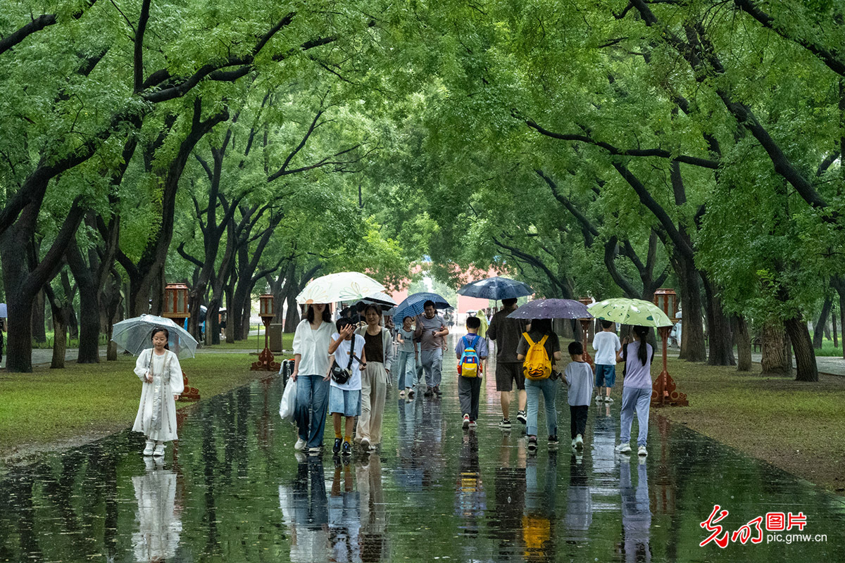 【烟火人间】音画丨天坛雨