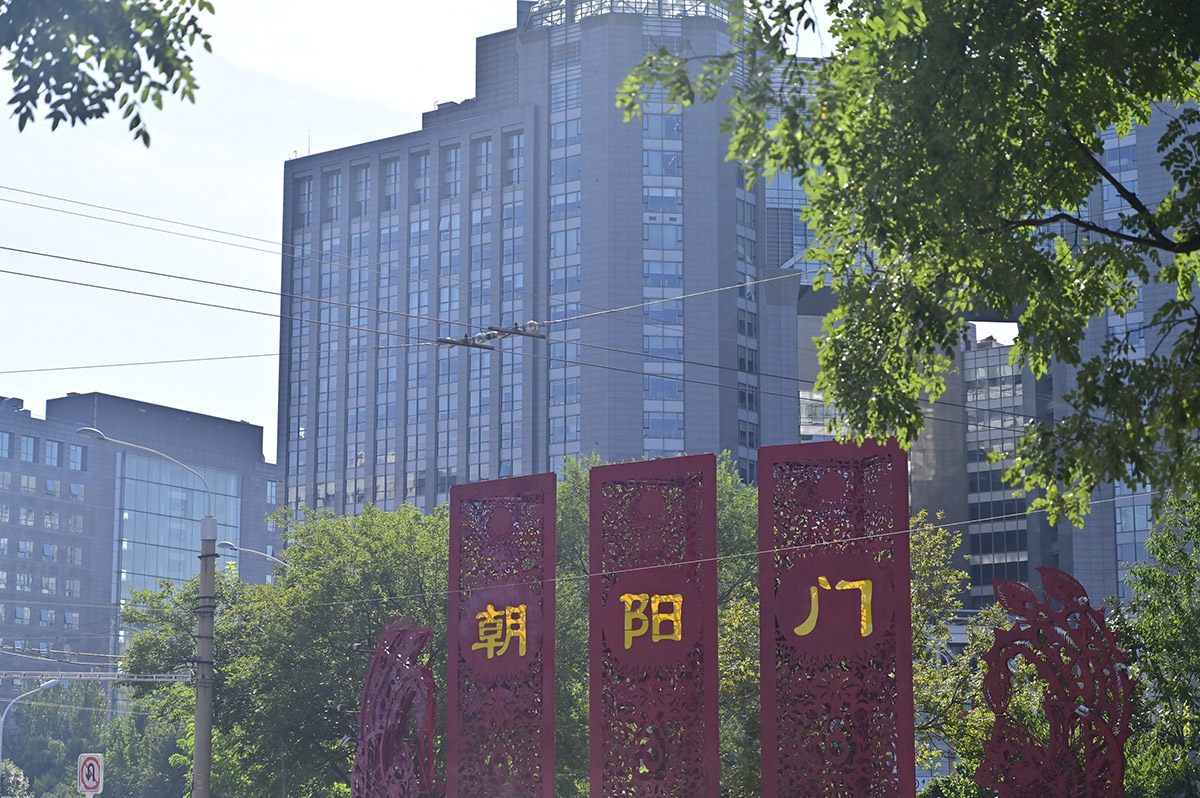 【烟火人间】音画丨胡同里的夜精灵 【烟火人间】音画丨胡同里的夜精灵