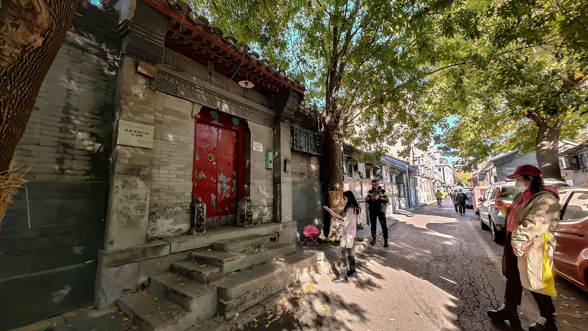 【烟火人间】音画丨胡同里的夜精灵 【烟火人间】音画丨胡同里的夜精灵