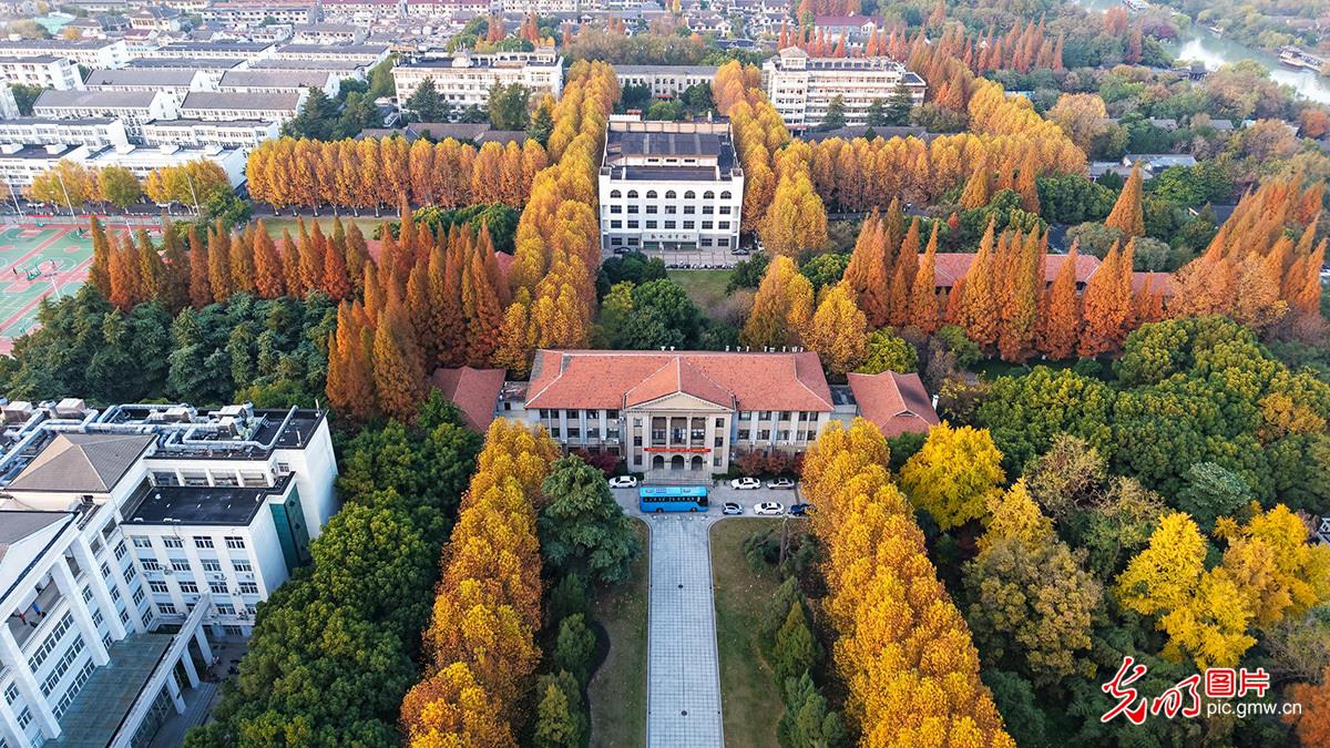 【烟火人间】音画丨我的老师 【烟火人间】音画丨我的老师