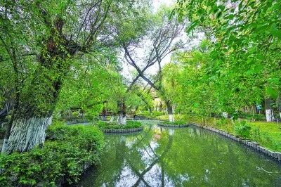 后人谈论大西北,不能不说左宗棠