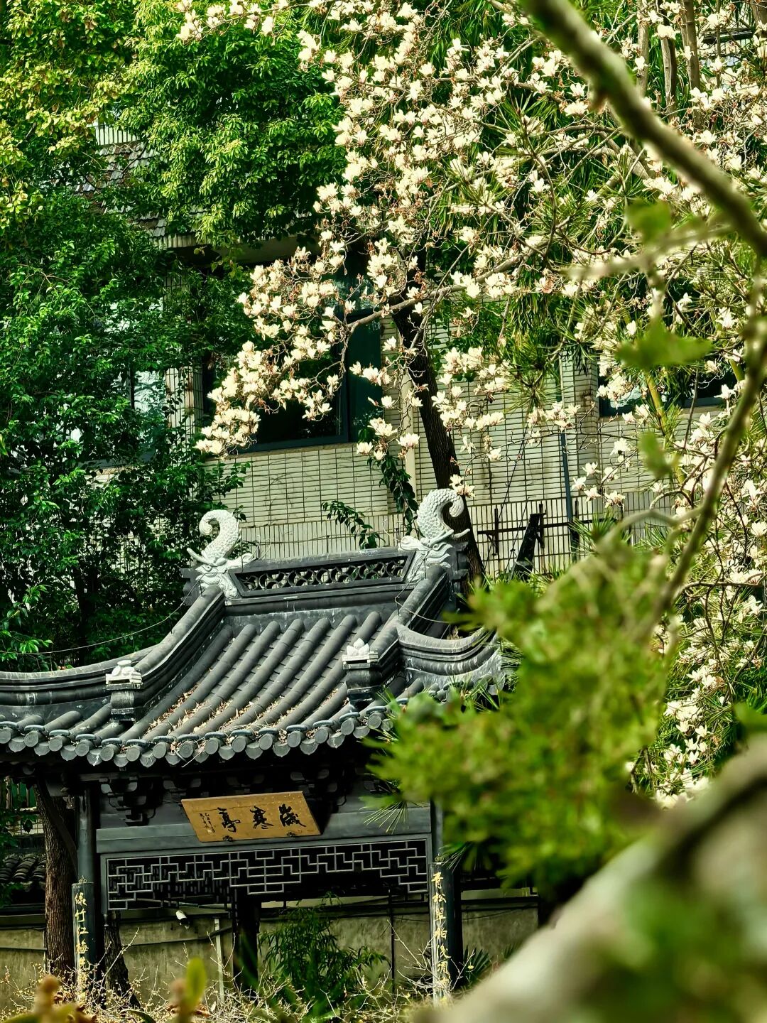 春分有信,花开有期