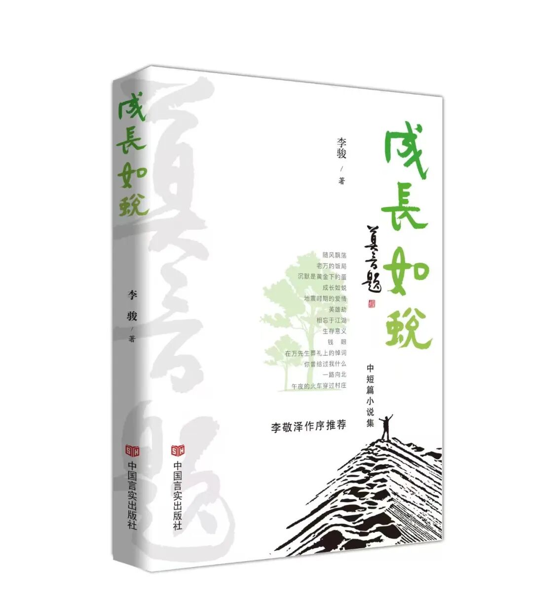 李敬泽:对文学的执着,让我记住了他