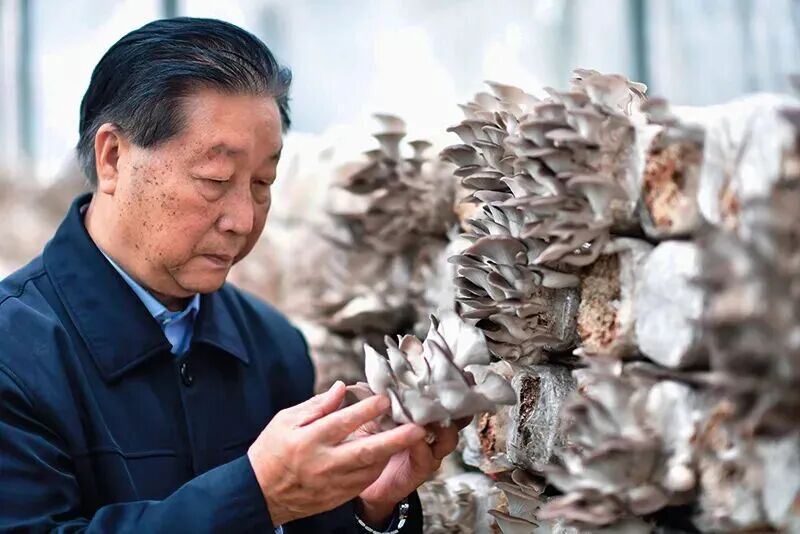 关铭闻:深化!山海协作处处新