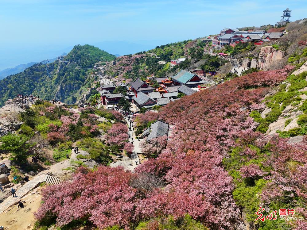 【烟火人间】音画丨登泰山 【烟火人间】音画丨登泰山