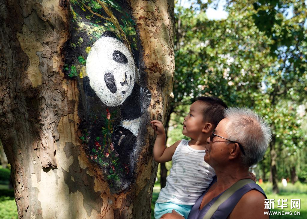 上海：创意养护美化树洞
