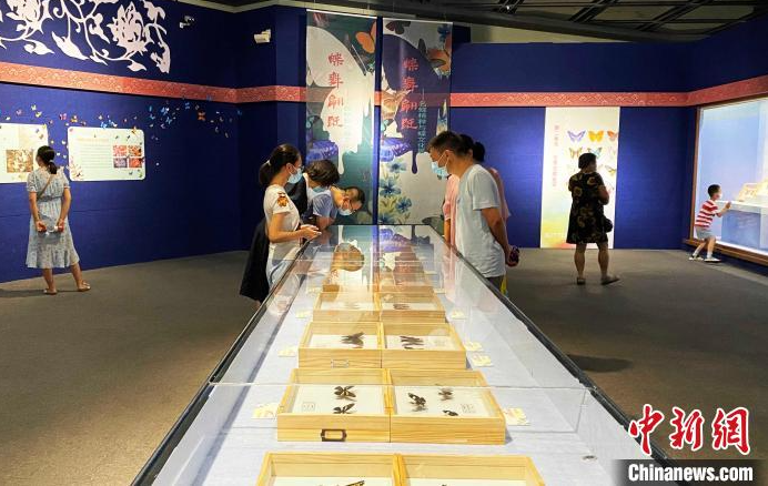“名蝶精粹与蝶文化展”在江苏扬州展出 感受人文与自然和谐之美