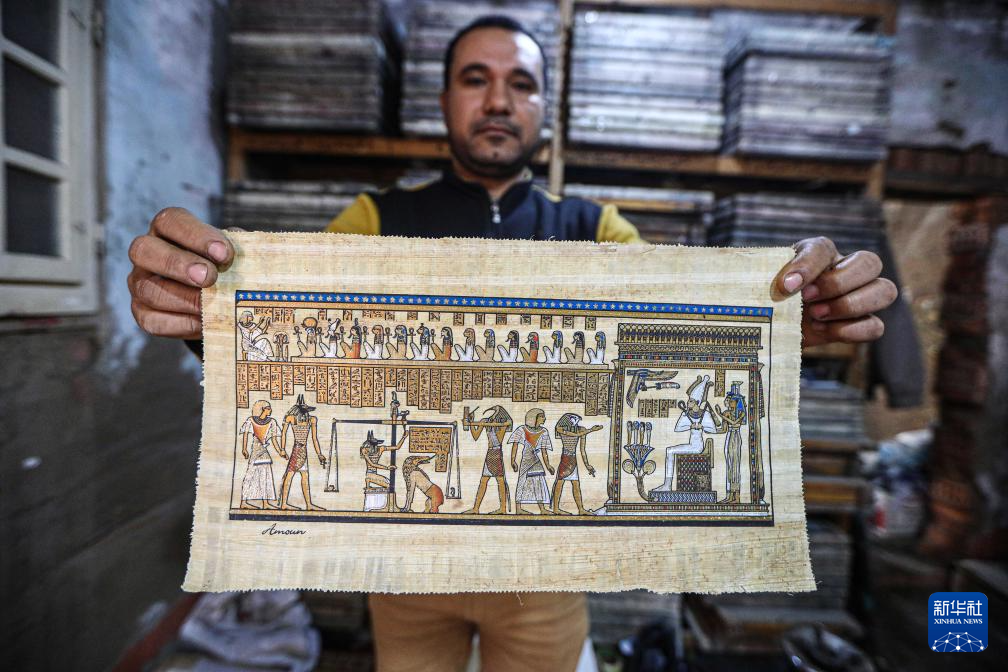 “化草为纸”——探访埃及纸莎草纸的古法制作