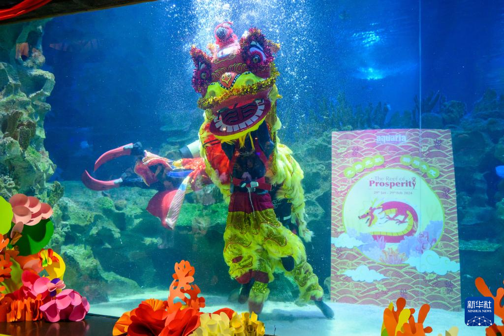 马来西亚：水族馆举办迎新春活动