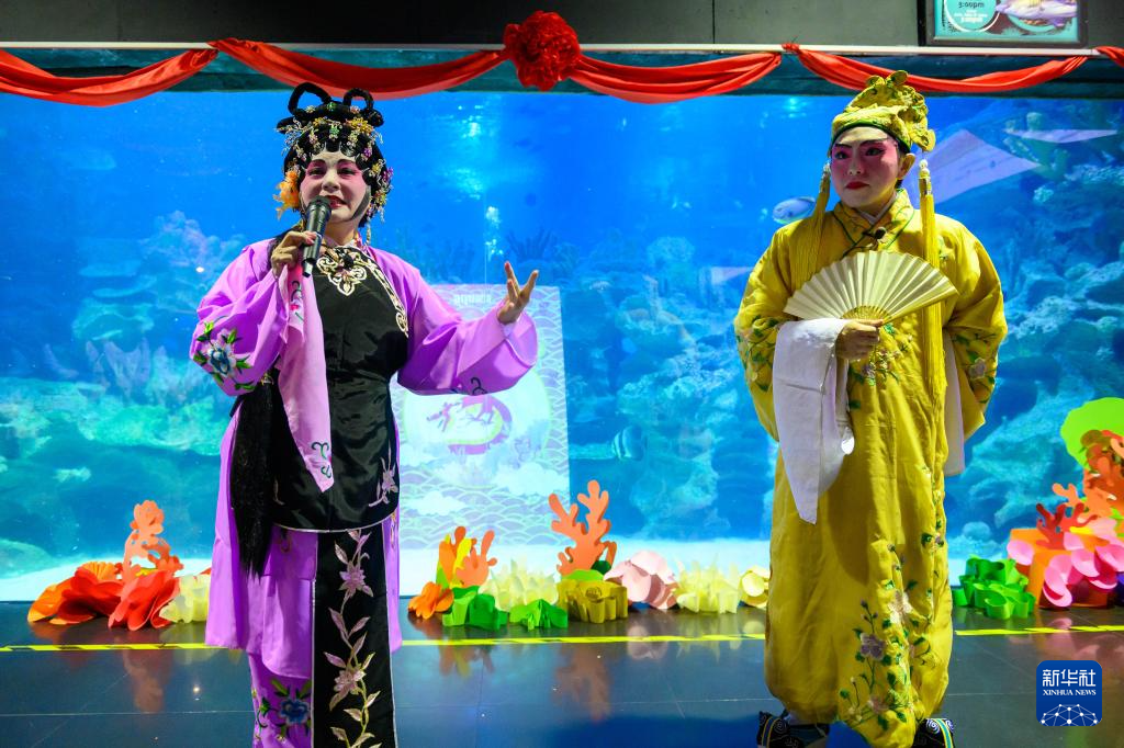 马来西亚：水族馆举办迎新春活动