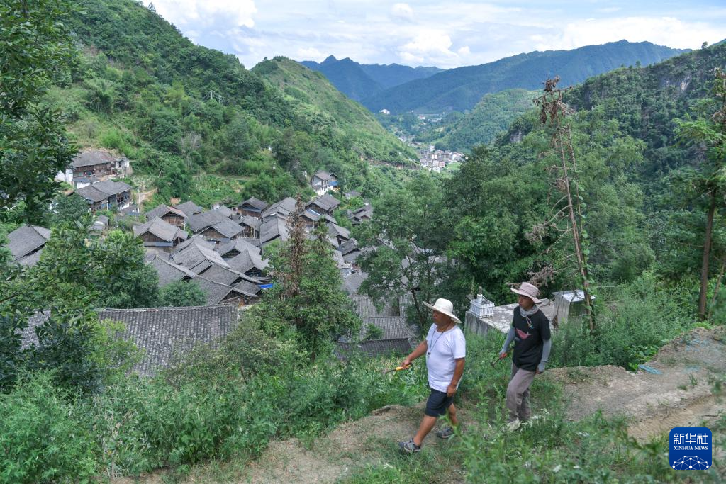 在苗岭深处讲述古生物故事