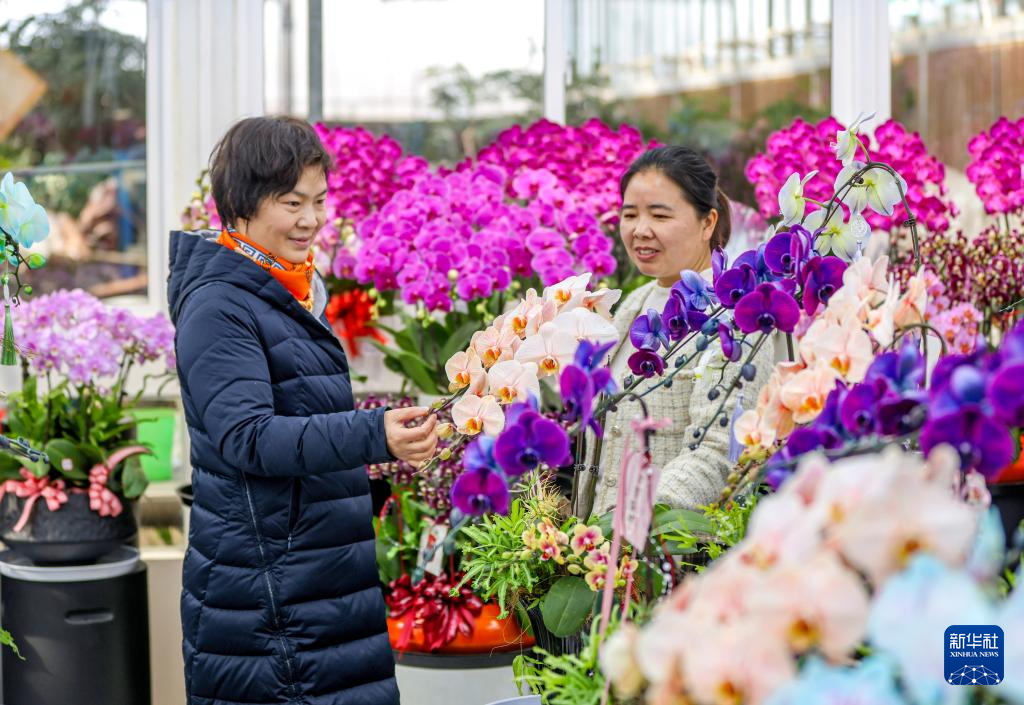 年味渐浓迎春节