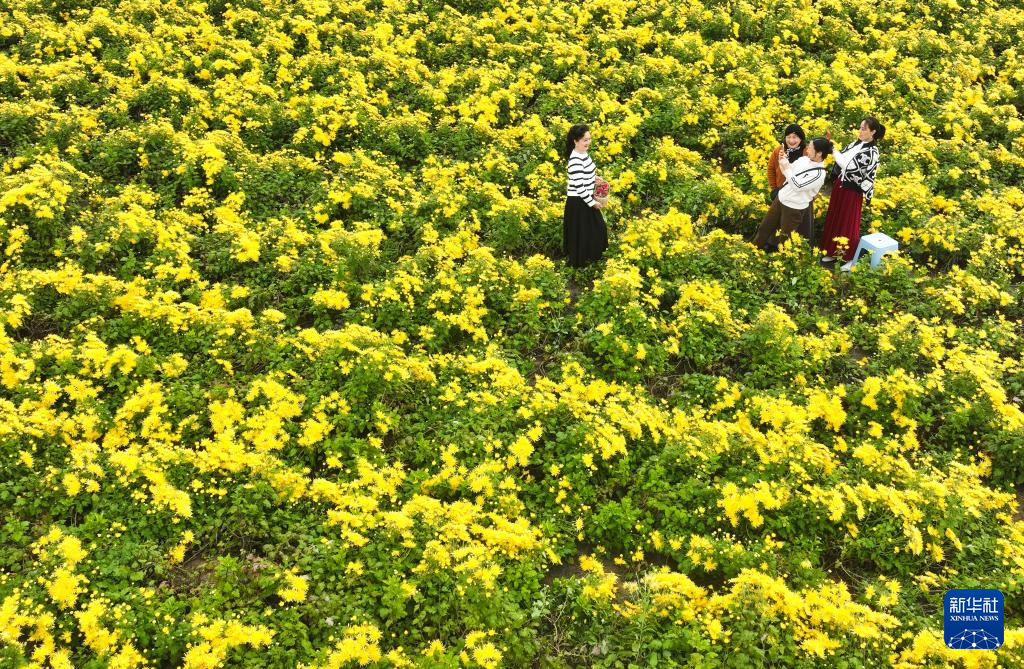 诗意中国丨农历九月
