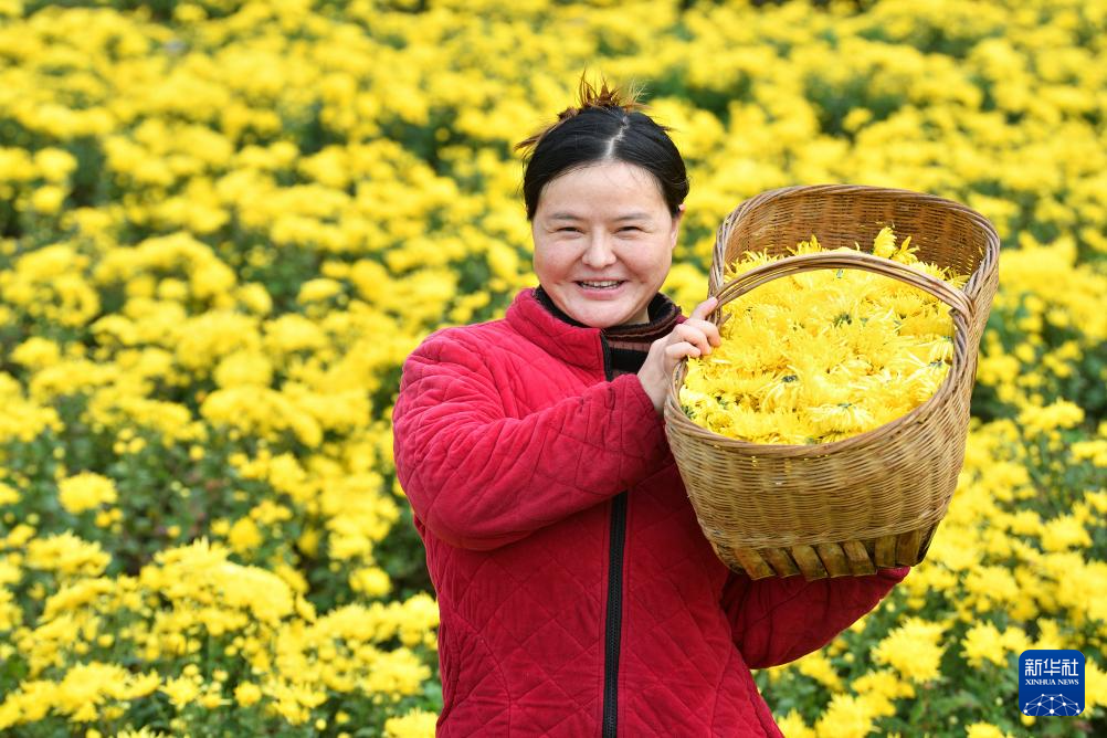 诗意中国丨农历九月