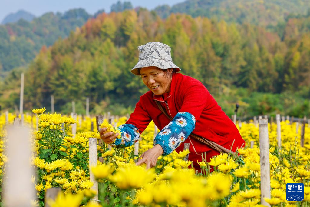 诗意中国丨农历九月