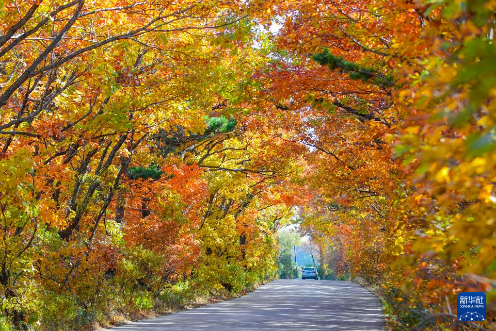 诗意中国丨农历九月