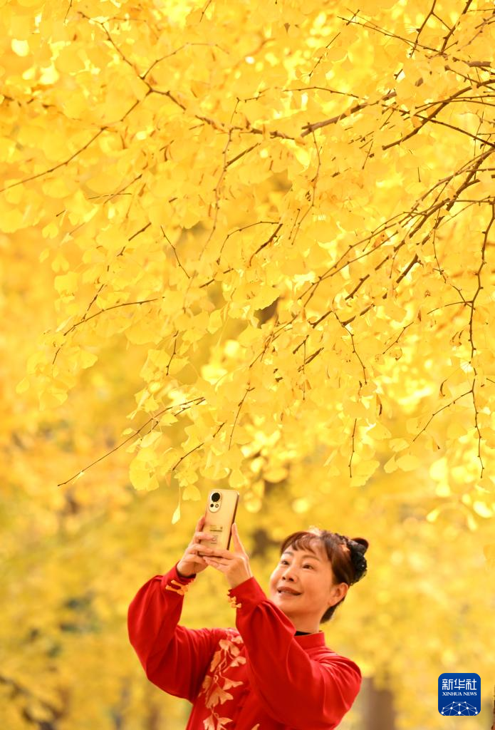 诗意中国丨农历九月