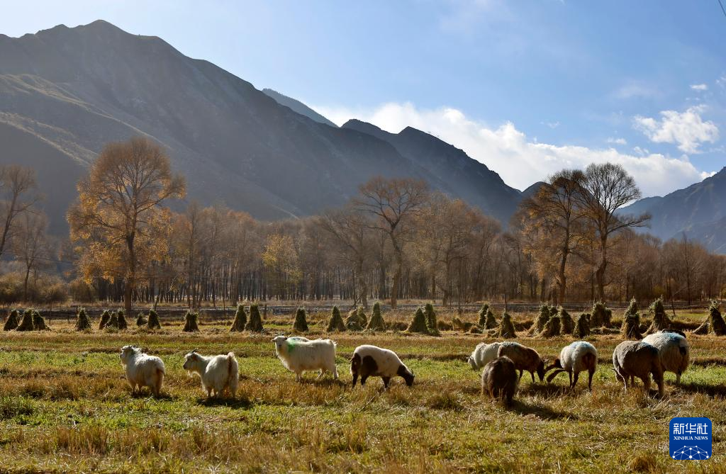 诗意中国丨农历九月