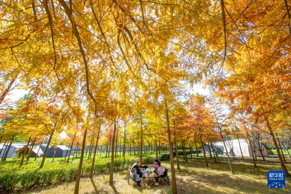 诗意中国丨农历九月