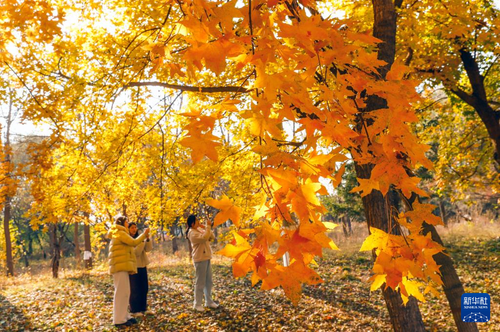 诗意中国丨农历九月