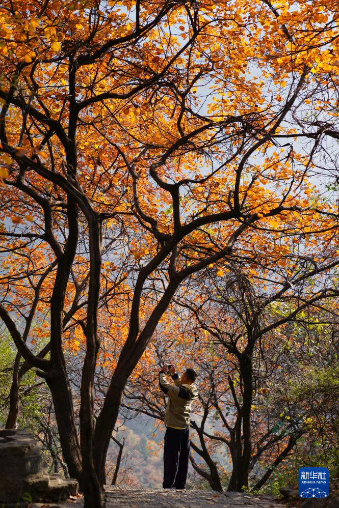 诗意中国丨农历九月