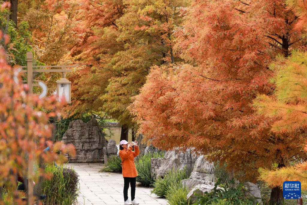 诗意中国丨农历九月
