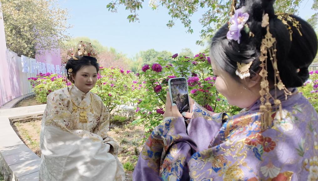 文旅新探|古都洛阳花事新