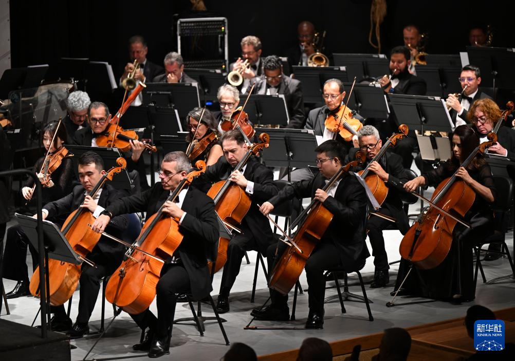 “中巴文化年”专场音乐会在巴西利亚举行