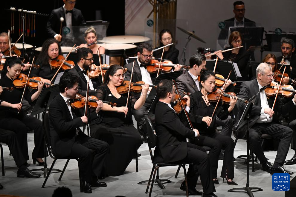 “中巴文化年”专场音乐会在巴西利亚举行