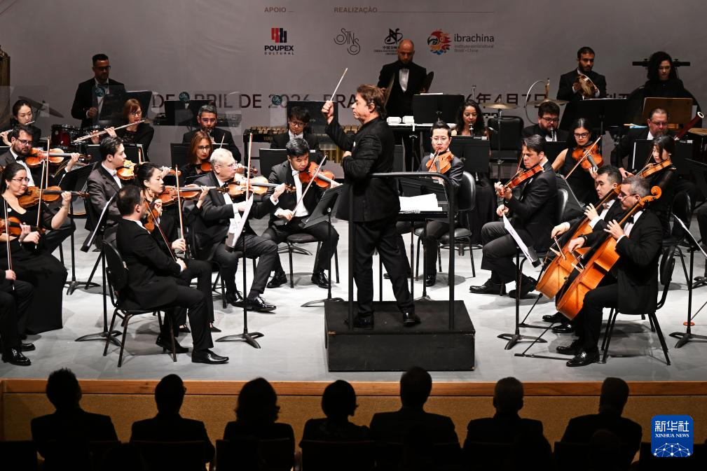 “中巴文化年”专场音乐会在巴西利亚举行