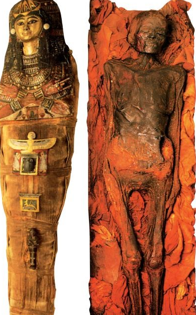 8,【"木乃伊"之谜】