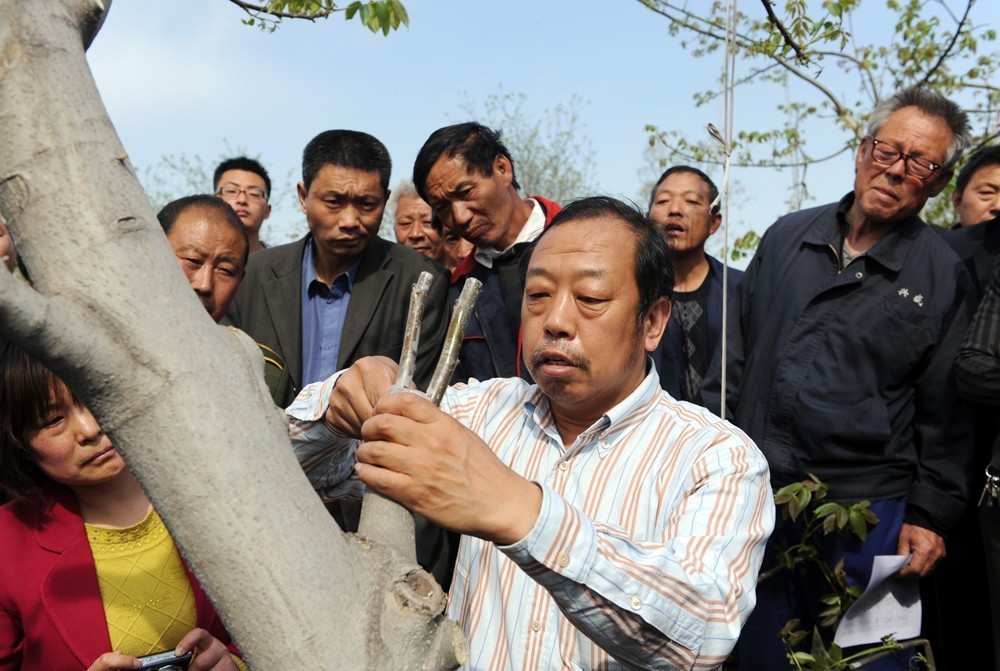 追憶李保國教授：太行山作證