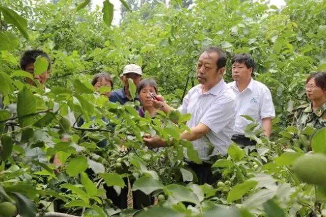 追憶李保國(guó)教授：太行山作證