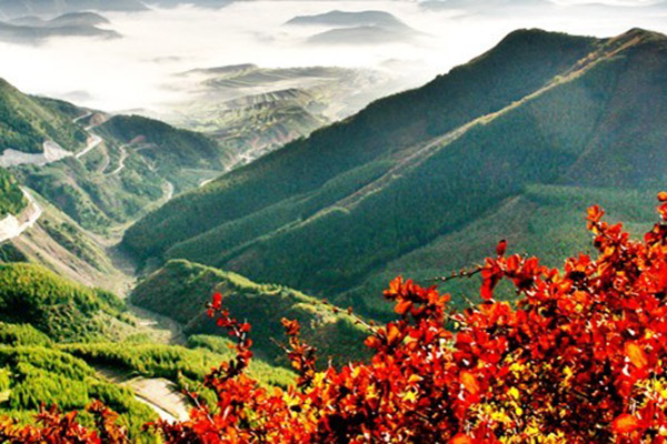 風光旖旎六盤山 不可錯過的避暑勝地 _寧夏風光 _光明網